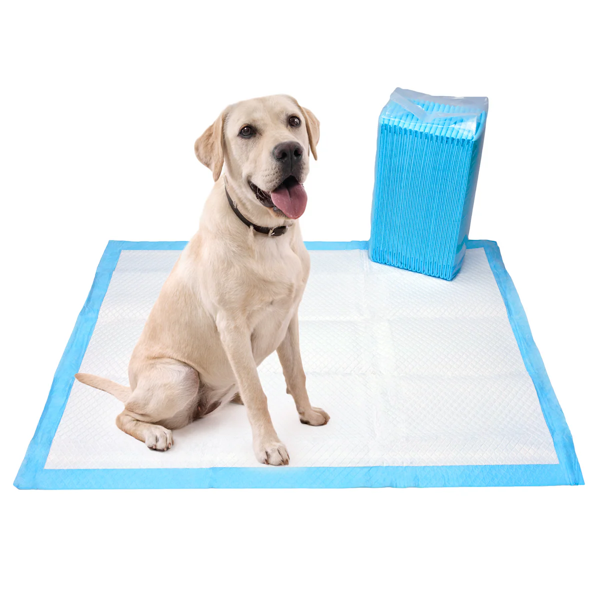 20 Dog Pads / 8 Layers Leak-Proof / Quick-Dry Technology Stiinger