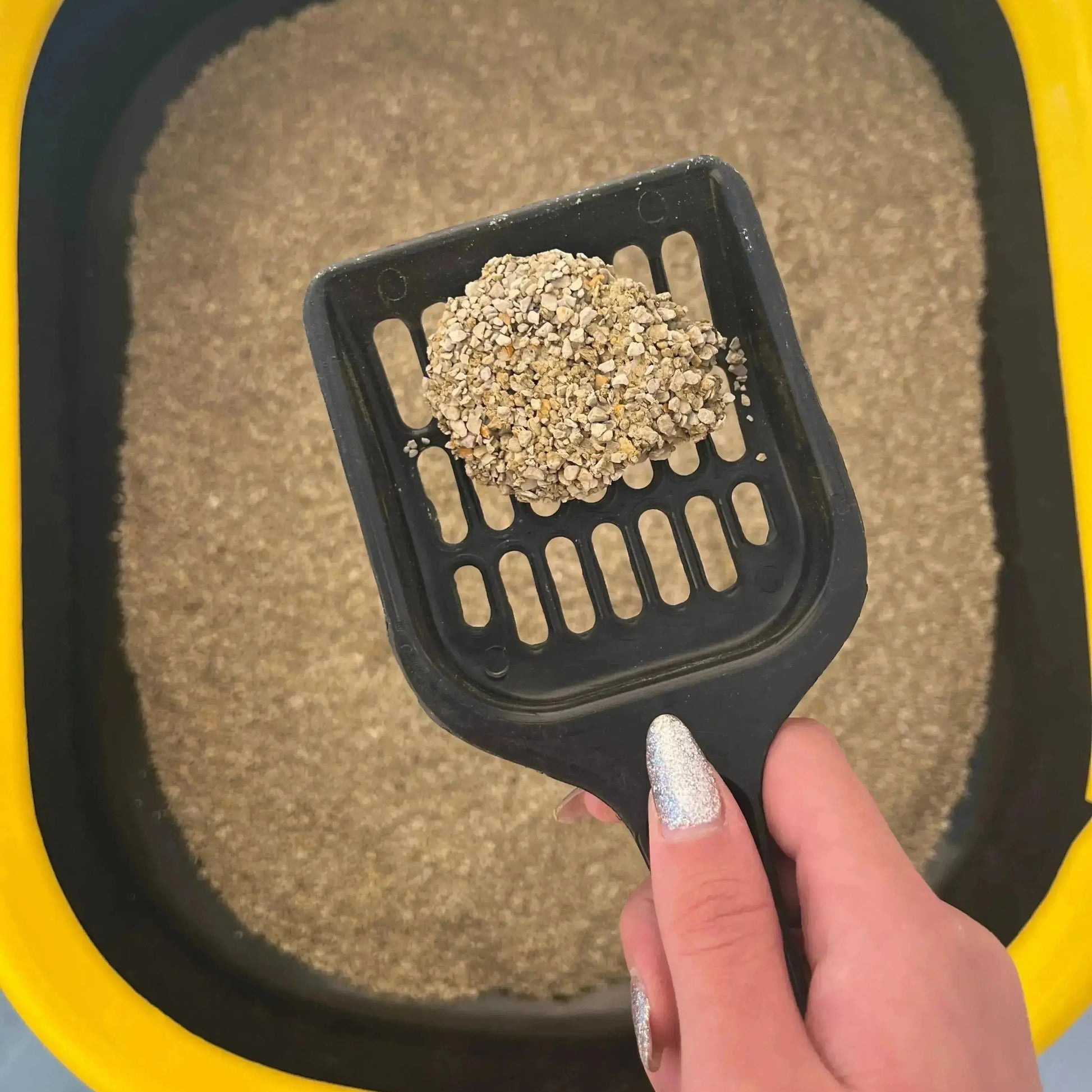 Premium Cat Litter My Store