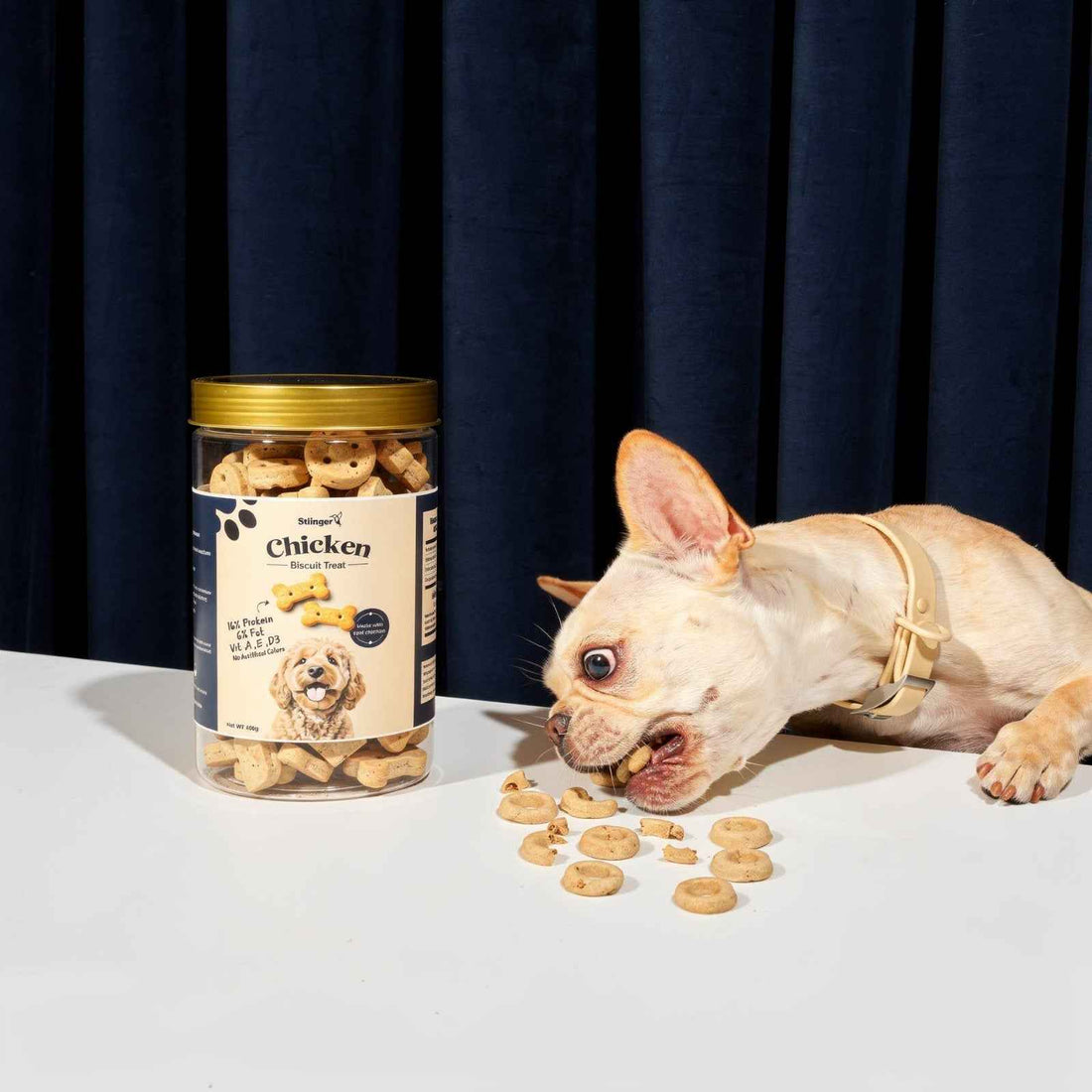 The Benefits of High-Quality Pet Dry Food for Your Furry Friend