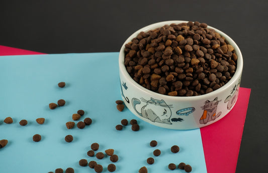A bowl of dog food sitting on top of a table