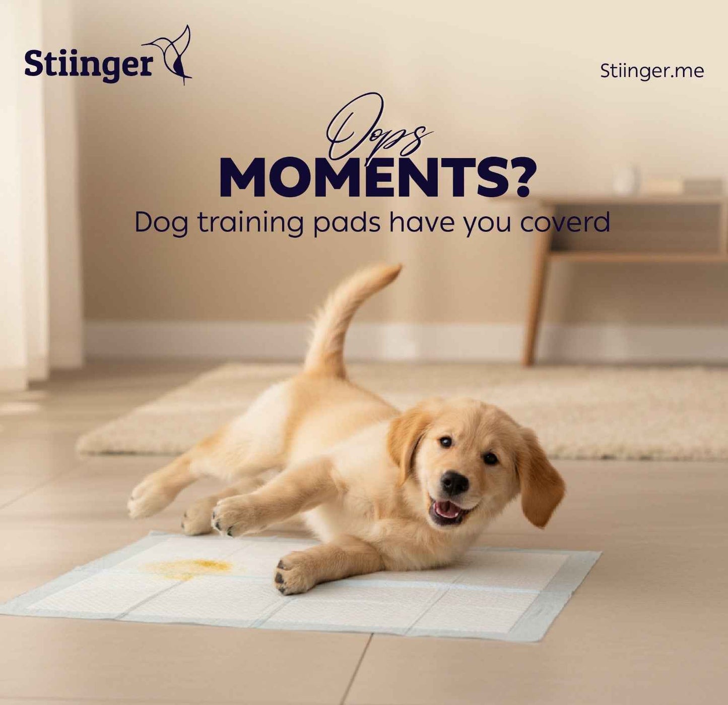 Stiinger Adhesive Dog Pads Bundle (2×20 PCS, 60×90cm) + FREE Chicken Treats