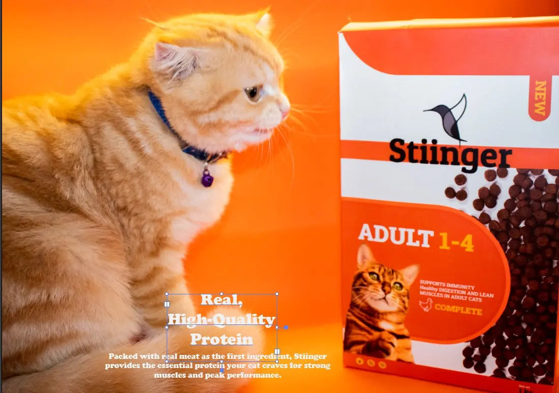 Premium Cat Dry Food (1KG) Stiinger