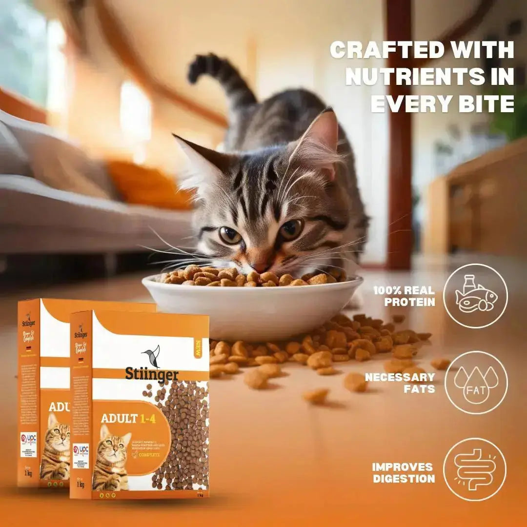 Premium Cat Dry Food (1KG) Stiinger