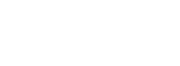 Stiinger